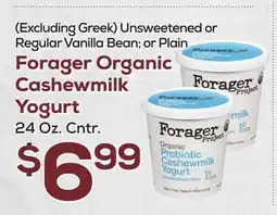 DeCicco & Sons Forager Organic Cashewmilk Yogurt offer