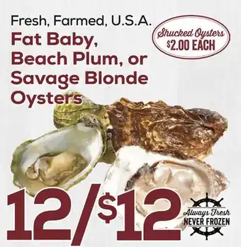 DeCicco & Sons Fat Baby Beach Plum, or Savage Blonde Oysters offer
