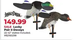 Runnings Lucky Pair II Decoys offer
