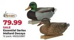 Runnings Avery Essential Series Mallard Decoys offer