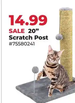 Runnings 20 Scratch Post offer