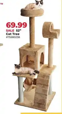 Runnings Main st Pet 52 Cat Tree offer
