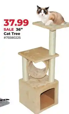 Runnings MAIN ST PET 36 Cat Tree offer