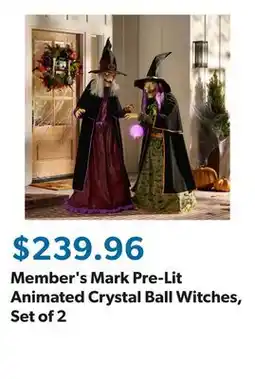 Sam's Club Member's Mark Pre-Lit Animated Crystal Ball Witches, Set of 2 offer