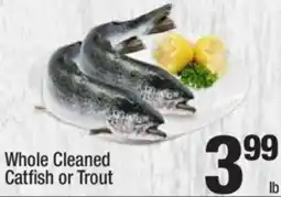 Super King Markets Whole Cleaned Catfish or Trout offer