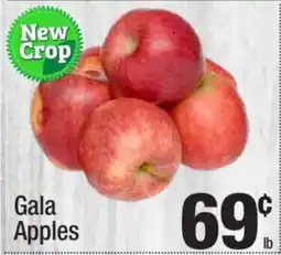 Super King Markets Gala Apples offer