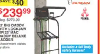 Dunham's Sports 22' BIG DADDY WITH LOCKJAW OR 22' MAC DADDY DELUXE LADDER offer