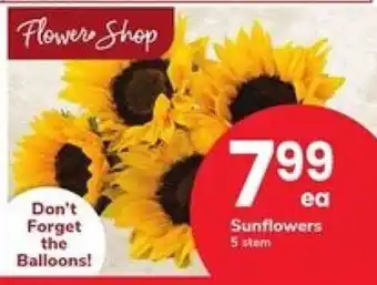 Safeway Sunflowers offer