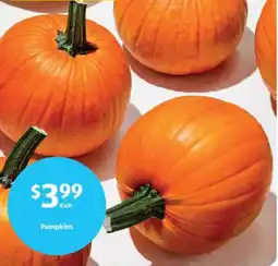 Aldi Pumpkins offer