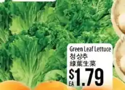 Hmart Green leaf lettuce offer