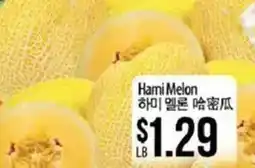 Hmart Hami melon offer