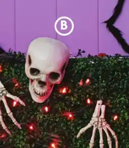 Family Dollar Skeleton Bones Yard Stakes offer