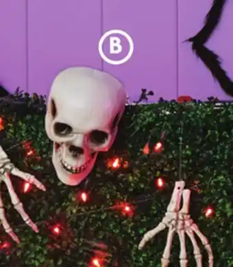 Family Dollar Skeleton Bones Yard Stakes offer