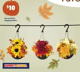 Family Dollar Harvest Floral Hanging Baskets offer