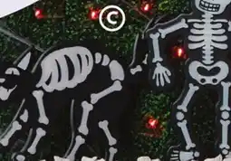 Family Dollar Glow in the Dark Yard Stakes offer