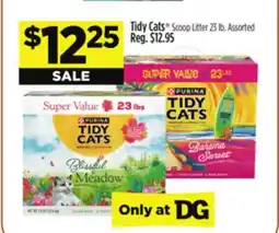 Dollar General Tidy Cats Scoop Litter offer
