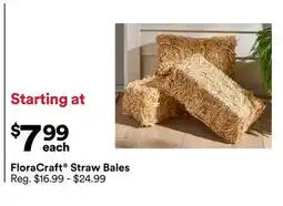 Michaels FloraCraft Straw Bales offer