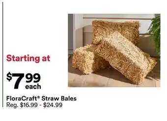 Michaels FloraCraft Straw Bales offer