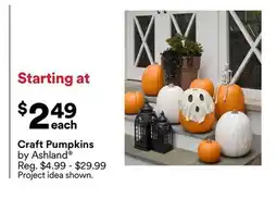 Michaels Craft pumpkins by Ashland offer