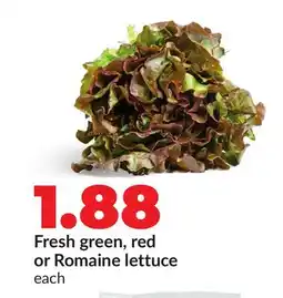Hy-Vee Fresh green, red or Romaine lettuce offer