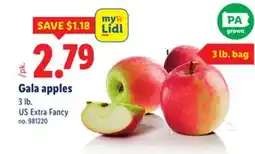 Lidl Gala apples offer