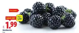 Lidl blackberries offer