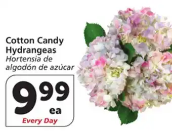Vons Cotton Candy Hydrangeas offer