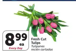 Vons Fresh Cut Tulips offer