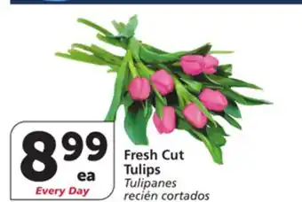 Vons Fresh Cut Tulips offer