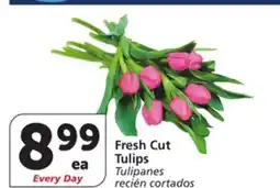 Albertsons Fresh Cut Tulips offer