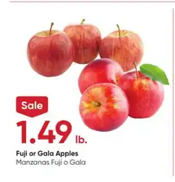 Stater Bros Fuji or Gala Apples offer
