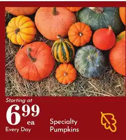 Pavilions Specialty Pumpkins offer