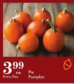 Pavilions Pie Pumpkin offer