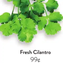 Fresh Thyme Fresh Cilantro offer