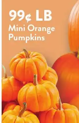 Fresh Thyme Mini Orange Pumpkins offer