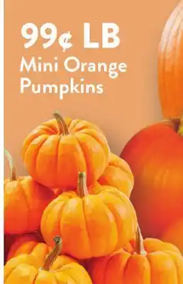 Fresh Thyme Mini Orange Pumpkins offer