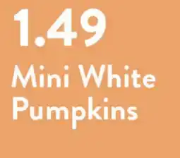 Fresh Thyme Mini White Pumpkins offer