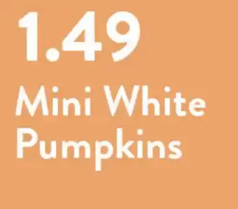 Fresh Thyme Mini White Pumpkins offer