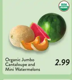 Fresh Thyme Organic Jumbo Cantaloupe and Mini Watermelons offer