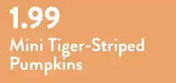 Fresh Thyme Mini Tiger-Striped Pumpkins offer