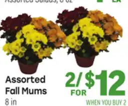 Tony’s Fresh Market Assorted Fall Mums offer