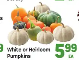 Tony’s Fresh Market White or Heirloom Pumpkins offer