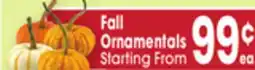 Jewel-Osco Fall Ornamentals offer