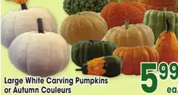 Jewel-Osco Large White Carving Pumpkins or Autumn Couleurs offer