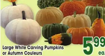 Jewel-Osco Large White Carving Pumpkins or Autumn Couleurs offer