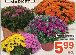 Jewel-Osco Fall Blooms offer