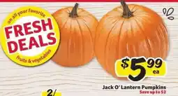 Winn Dixie Jack-O-Lantern Pumpkins offer