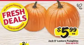 Winn Dixie Jack-O-Lantern Pumpkins offer