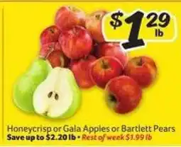 Winn Dixie Honeycrisp or Gala Apples or Bartlett Pears offer