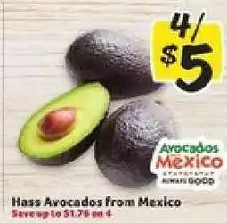 Winn Dixie Hass Avocados from Mexico offer